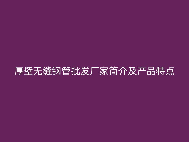 厚壁無縫鋼管批發(fā)廠家簡介及產(chǎn)品特點