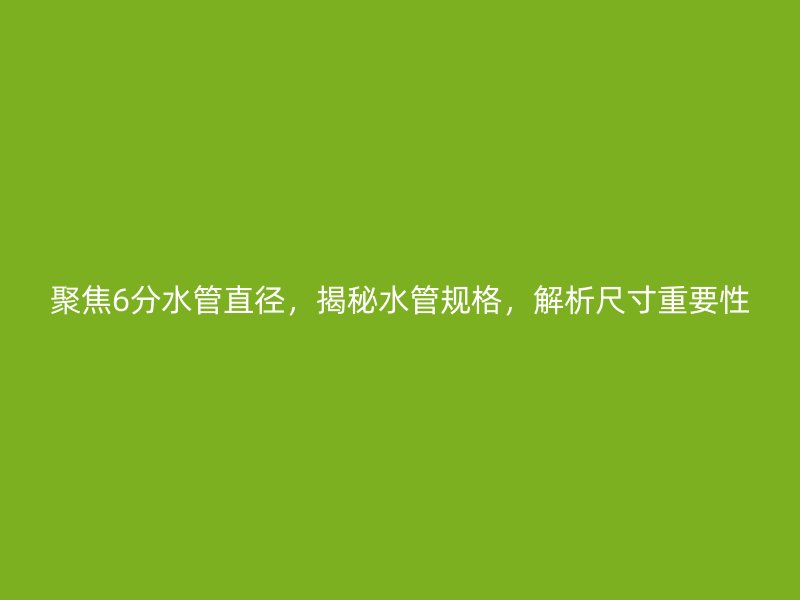 聚焦6分水管直徑，揭秘水管規格，解析尺寸重要性