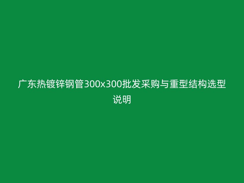 廣東熱鍍鋅鋼管300x300批發采購與重型結構選型說明