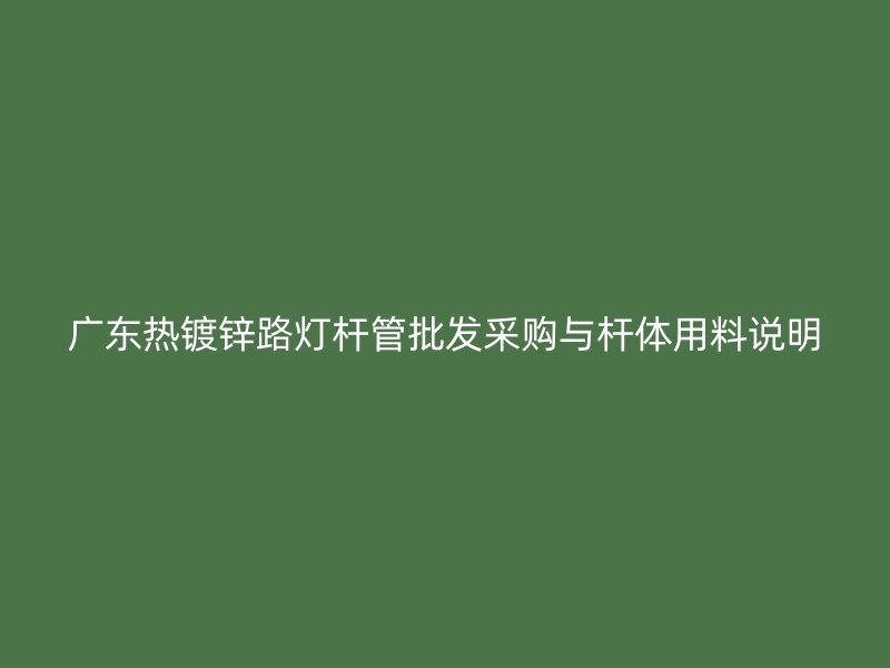 廣東熱鍍鋅路燈桿管批發采購與桿體用料說明